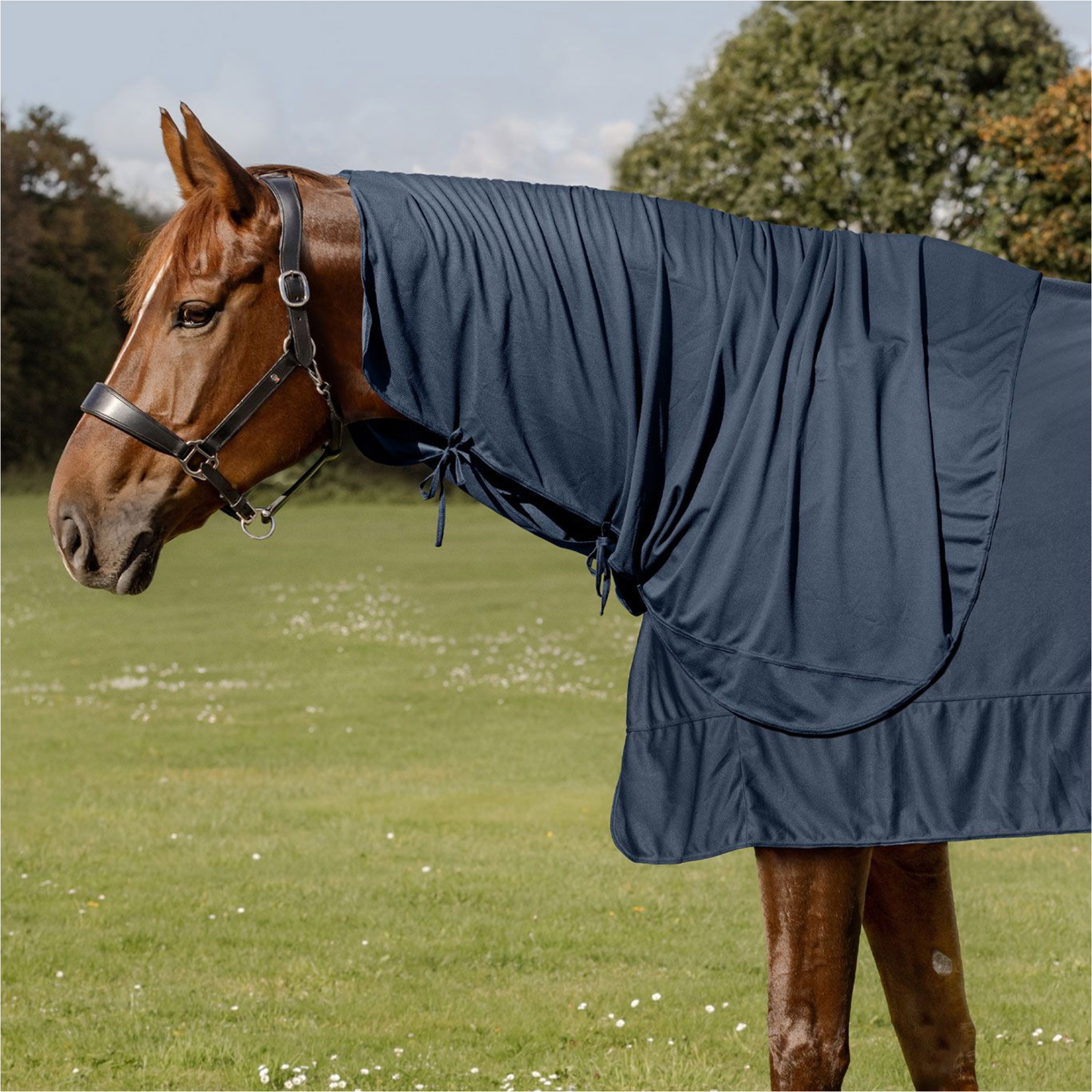 2026 Waldhausen Santé + Soins Couche De Glace Pour Le Cou 6319705 - Night Blue